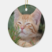 Oranje Tabby Kitten-siermiddel Keramisch Ornament (Links)