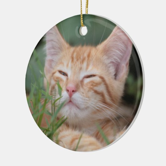 Oranje Tabby Kitten-siermiddel Keramisch Ornament (Links)