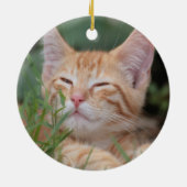 Oranje Tabby Kitten-siermiddel Keramisch Ornament (Achterkant)