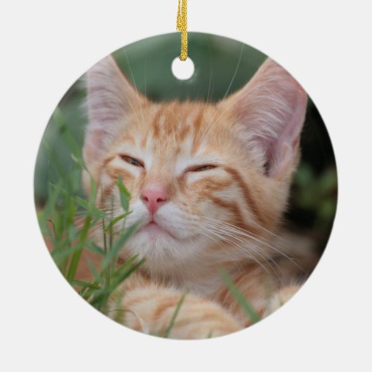 Oranje Tabby Kitten-siermiddel Keramisch Ornament (Achterkant)
