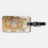 Oranje Tabby Poes Kat Bagagelabel (Voorkant horizontaal)