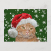 Oranje tabby Santa Feestdagenkaart (Voorkant)