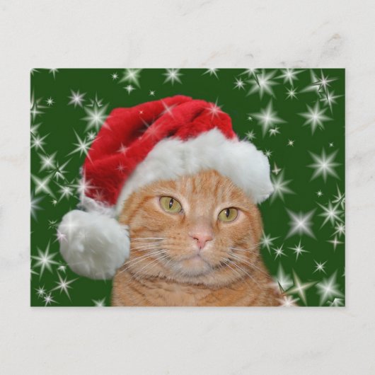 Oranje tabby Santa Feestdagenkaart (Voorkant)