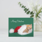 Oranje tabby Santa hat Feestdagenkaart (Staand voorkant)