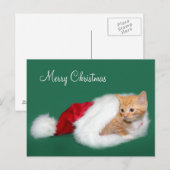 Oranje tabby Santa hat Feestdagenkaart (Voorkant / Achterkant)