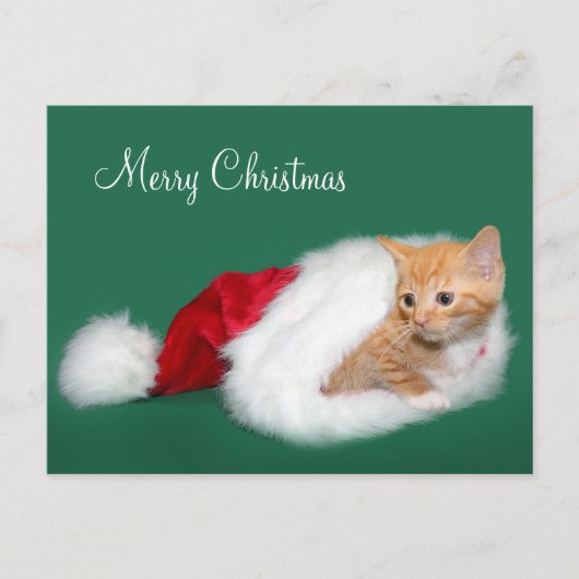 Oranje tabby Santa hat Feestdagenkaart (Voorkant)