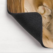 Oranje tabby slaapt in wasmand muismat (Hoek)