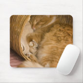 Oranje tabby slaapt in wasmand muismat (Met muis)