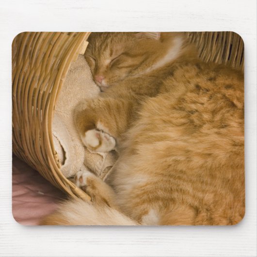 Oranje tabby slaapt in wasmand muismat (Voorkant)