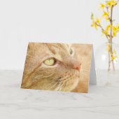 Oranje Tabby Wenskaart Kaart (Gele Bloem)