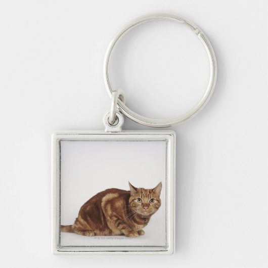 Oranje Tabbykat Sleutelhanger (Voorkant)