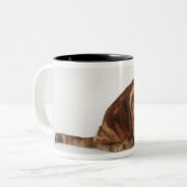 Oranje Tabbykat Tweekleurige Koffiemok (Voorkant links)