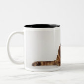 Oranje Tabbykat Tweekleurige Koffiemok (Links)