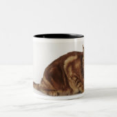 Oranje Tabbykat Tweekleurige Koffiemok (Center)