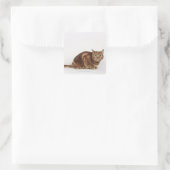 Oranje Tabbykat Vierkante Sticker (Tas)