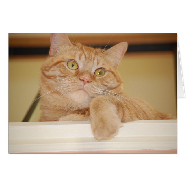 Oranje tablet (Voorkant Horizontaal)