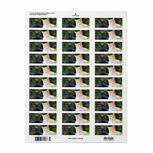 Oranje tablet Adresetiketten Etiket (Full Sheet)