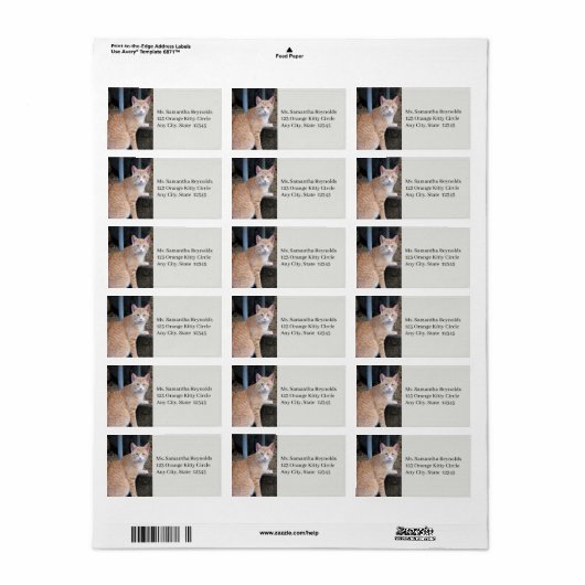 Oranje tablet Adresetiketten Etiket (Full Sheet)