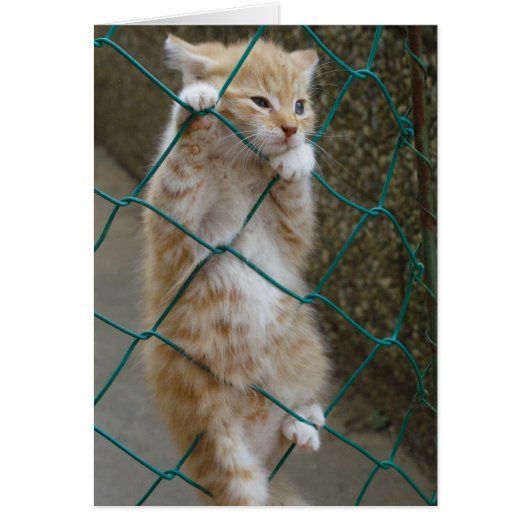 Oranje tablet-Baby (Voorkant)