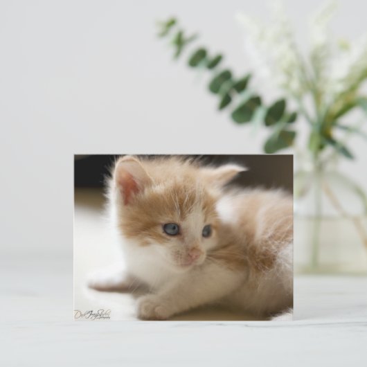 Oranje tablet Briefkaart (Staand voorkant)