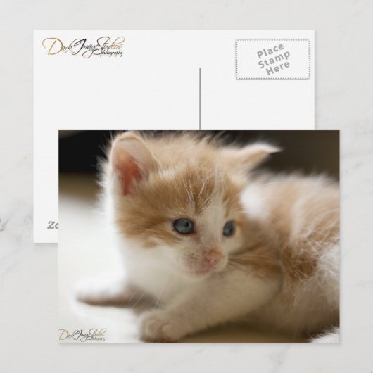 Oranje tablet Briefkaart (Voorkant / Achterkant)