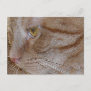 Oranje tablet briefkaart