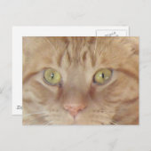 Oranje tablet briefkaart (Voorkant / Achterkant)