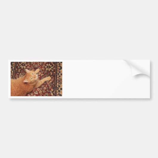 Oranje tablet bumpersticker (Voorkant)