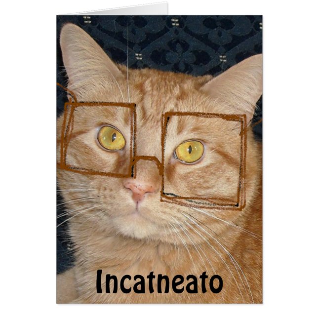 Oranje tablet Cat/Incognito (Voorkant)