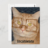 Oranje tablet Cat/Incognito Briefkaart (Voorkant / Achterkant)