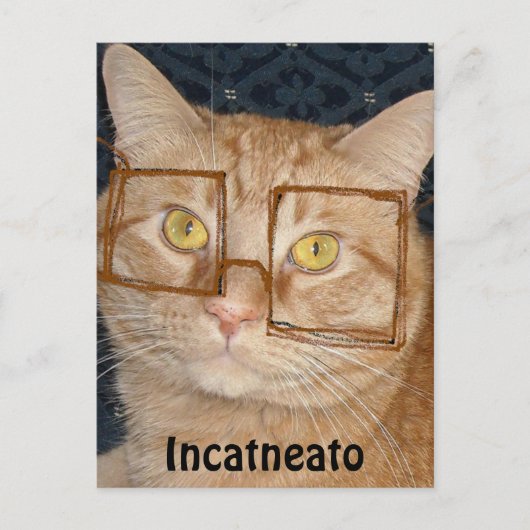 Oranje tablet Cat/Incognito Briefkaart (Voorkant)