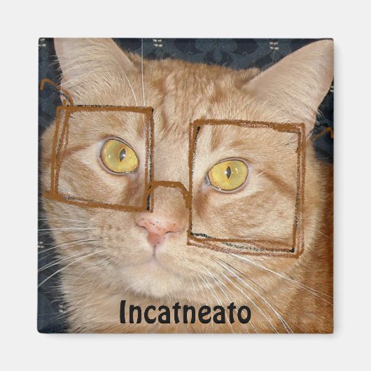 Oranje tablet Cat/Incognito Humor Magneet (Voorkant)