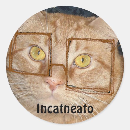 Oranje tablet Cat/Incognito Humor Ronde Sticker (Voorkant)