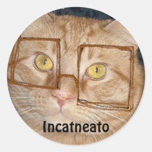 Oranje tablet Cat/Incognito Humor Ronde Sticker