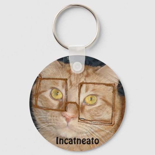 Oranje tablet Cat/Incognito Humor Sleutelhanger (Voorkant)
