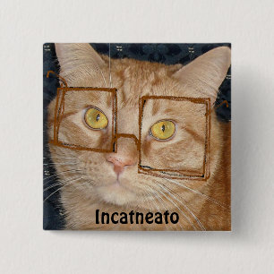 Oranje tablet Cat/Incognito Humor Vierkante Button 5,1 Cm