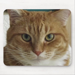 Oranje tablet Cat Mousepad Muismat