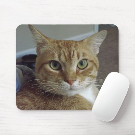 Oranje tablet Cat Mousepad Muismat (Met muis)