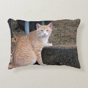 Oranje tablet Cat Pillow Accent Kussen