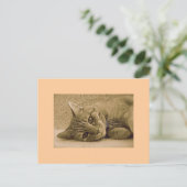 Oranje tablet Cat Post Card Briefkaart (Staand voorkant)