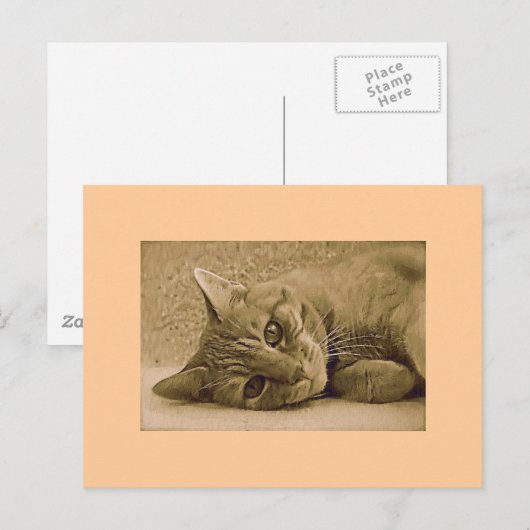 Oranje tablet Cat Post Card Briefkaart (Voorkant / Achterkant)