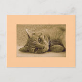 Oranje tablet Cat Post Card Briefkaart (Voorkant)