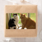 Oranje tablet Cat/zwart/wit Etiket (Insitu)