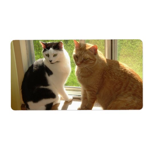 Oranje tablet Cat/zwart/wit Etiket (Voorkant)