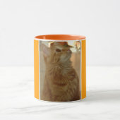 Oranje tablet Citten Mok (Midden)