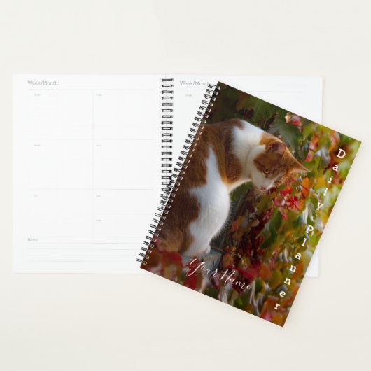 Oranje tablet - Daily Planner - HAMbWG (Display)