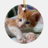 Oranje tablet en White Kitten Ornament (Voorkant)