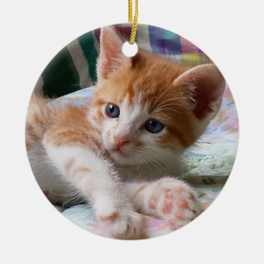 Oranje tablet en White Kitten Ornament (Voorkant)