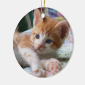 Oranje tablet en White Kitten Ornament (Links)