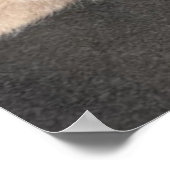 Oranje tablet Humor Poster (Hoek)